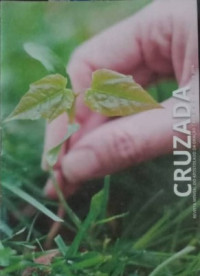Image of Como ler a primeira carta aos Coríntios