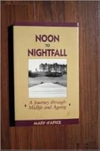 Image of NOON to NIGHTFALL 