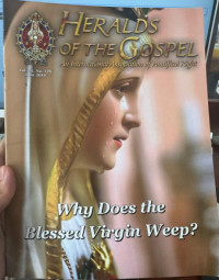 Image of Why Does the Blessed virgin weep? 